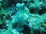 2009-09-08 13-13-57S